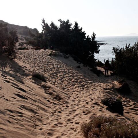 Μονοπάτι με άμμο που καταλήγει σε παραλία στη Γαύδο 