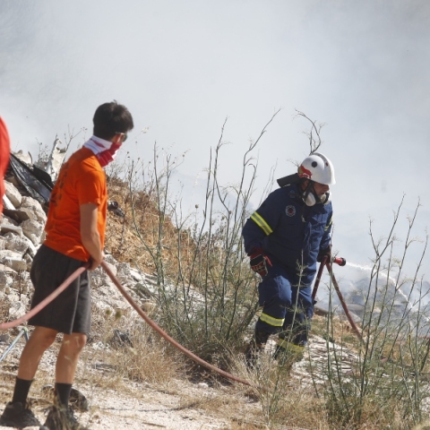 πυροσβεστες, φωτια