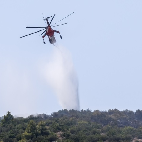 Άμεσα τέθηκε υπό μερικό έλεγχο η φωτιά στην περιοχή Ζούγκλα Νέας Μάκρης Αττικής