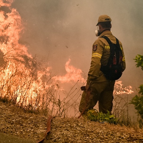 Νύχτα αγωνίας σε Ηλεία, Αχαΐα - Υψηλός ο κίνδυνος πυρκαγιάς και το Σάββατο