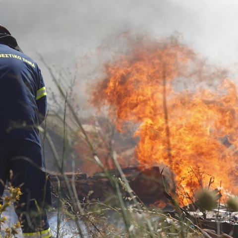 Φωτιά σε δασική έκταση στο Ορθοβούνι Τρικάλων - Ήχησε το 112