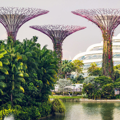 Σιγκαπούρη