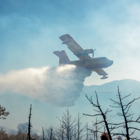 αεροπλάνο Canadair ριχνει νερο σε δασος