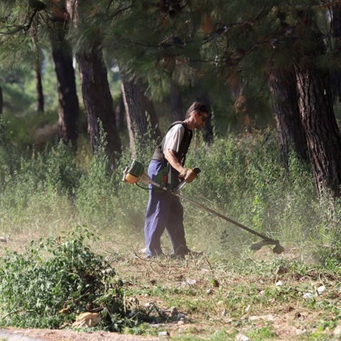 Ακαθάριστα οικόπεδα