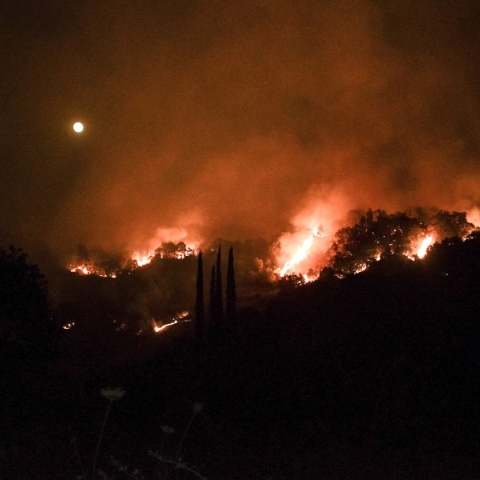 φωτια, δασος, βουνο