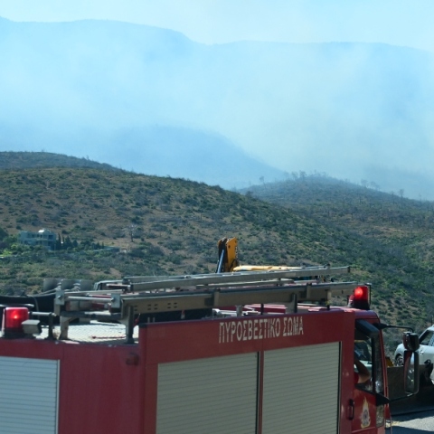 βουνο, δασος, καπνος, πυροσβεστική