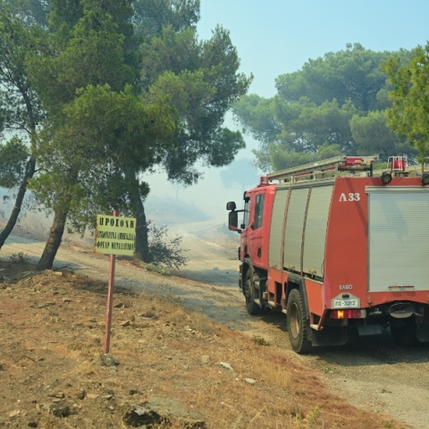 φωτια, δασος, πυροσβεστικο οχημα