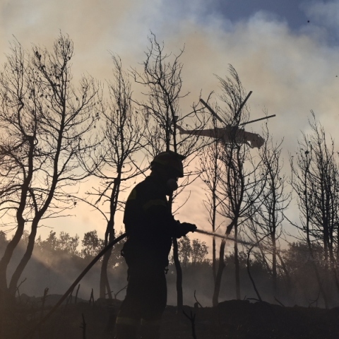 πυροσβεστες, φωτια, δασος, καπνος