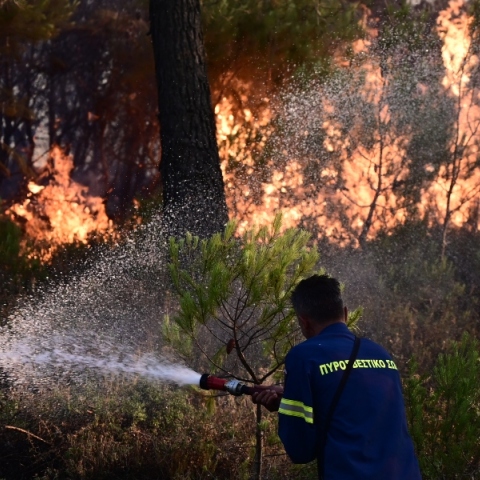πυροσβεστης, φωτια, δασος