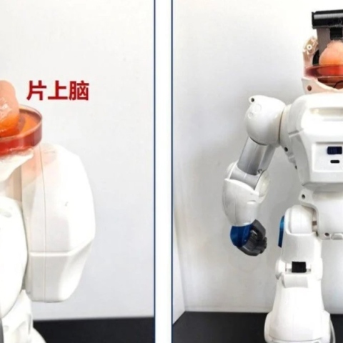 ρομποτ με εγκεφαλο