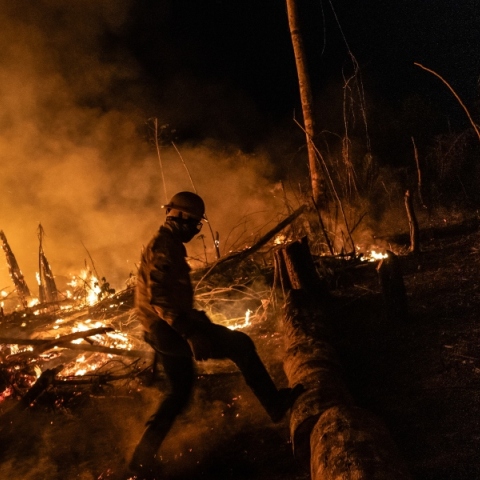 πυροσβεστες, φωτια, δασος