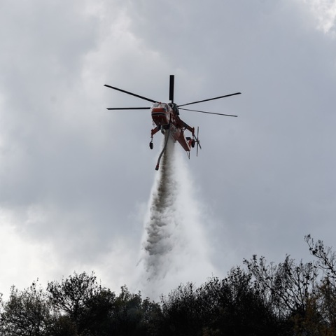 Φωτιά στο Γεράκι Ηλείας - Μήνυμα 112 για απομάκρυνση προς Αμαλιάδα