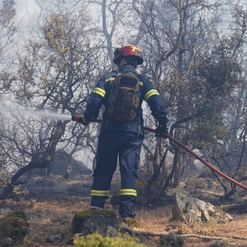 πυροσβεστης, φωτια, δασος