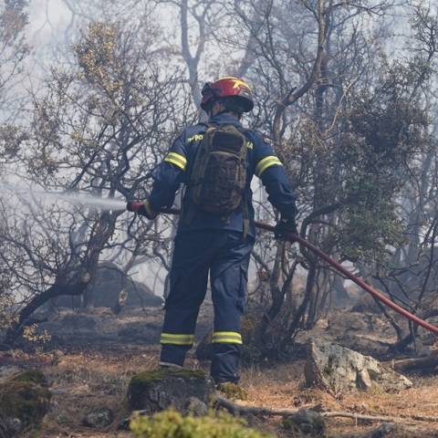Υψηλός κίνδυνος πυρκαγιάς την Κυριακή, αναμένονται ισχυροί άνεμοι - Σε επιφυλακή ο κρατικός μηχανισμός