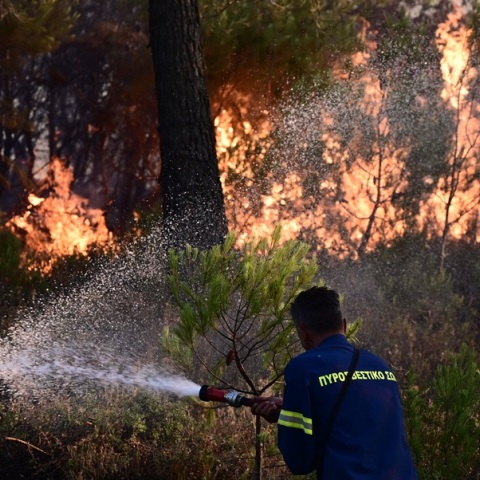 Καίει ανεξέλεγκτη η φωτιά στην Κορινθία - Κατευθύνεται στη Νεμέα η φωτιά από το Βέλο