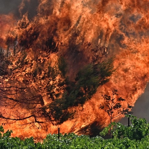 Νύχτα αγωνίας στην Κορινθία για τη φωτιά που καίει ανεξέλεγκτα από το μεσημέρι