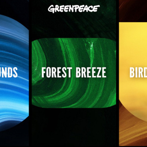  Η Greenpeace έφτιαξε μια playlist που βοηθά να διατηρηθεί η φύση ζωντανή