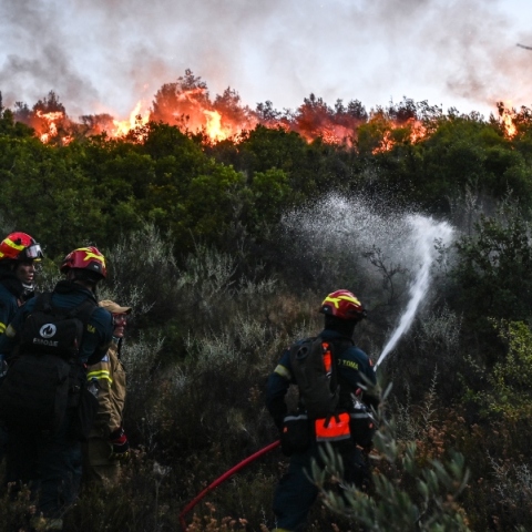 φωτια, δασος