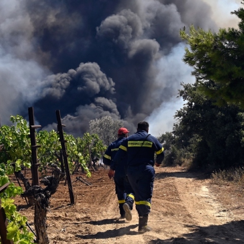 πυροσβεστες, φωτια, δεντρα