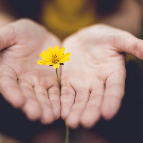 Εορτολόγιο: Σήμερα 17 Ioυλίου 2024 γιορτάζει…