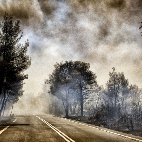 φωτια, καπνος, δασος
