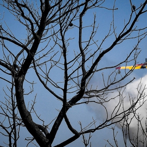 δασος, φωτια, καπνοι, αεροπλανο