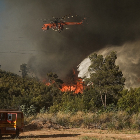 φωτια, δασος, βουνο