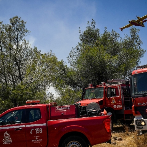 πυροσβεστες, φωτια, δασος