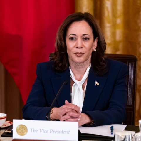 Η Καμάλα Χάρις ανακοίνωσε επισήμως την υποψηφιότητα της για το χρίσμα των Δημοκρατικών