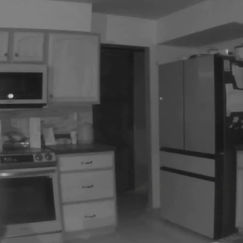 Σκύλος, κουζίνα