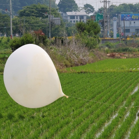 μπαλονι, χωραφι
