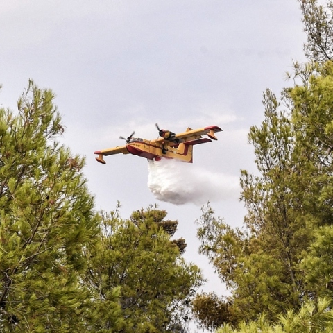 δασος, αεροσκαφος πυροσβεστικης