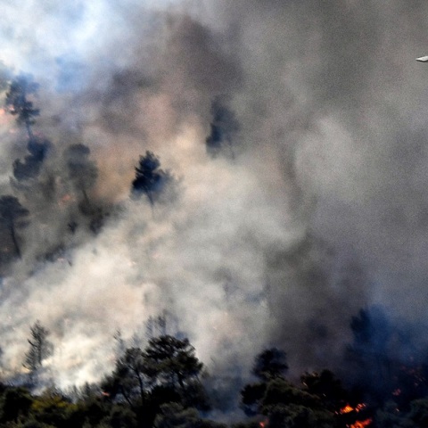 Πολύ υψηλός κίνδυνος πυρκαγιάς (κατηγορία 4) την Παρασκευή σε τρεις Περιφέρειες