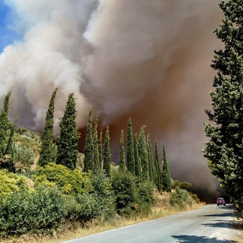 Ανεξέλεγκτη η φωτιά στην Εύβοια - Πέρασε την εθνική οδό με κατεύθυνση τον κάμπο του Δύστου