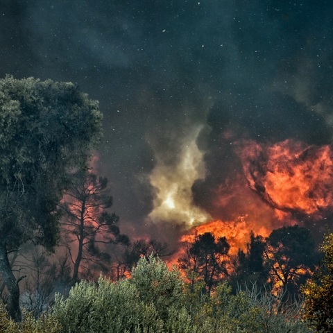 Κιλκίς: Αναζωπυρώθηκε η φωτιά έξω από το Πολύκαστρο - Σηκώθηκε ελικόπτερο