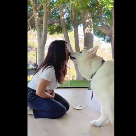 Η Σάλμα Χάγιεκ ταΐζει τον σκύλο της με το στόμα