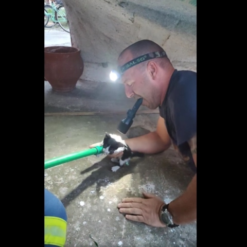 πυροσβεστης σωζει γατα