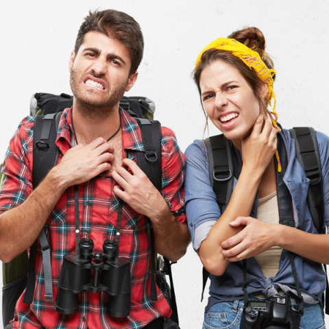 Γιατί με τσιμπάνε τα κουνούπια