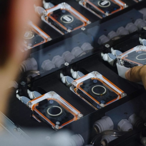 Ο Έλον Μασκ ανακοίνωσε τη δεύτερη εμφύτευση του τσιπ της Neuralink σε ασθενή - Σε αναμονή ακόμη οχτώ