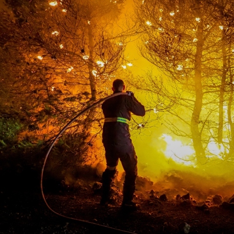 πυροσβεστης, φωτια, δασος
