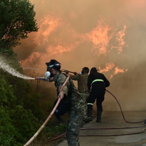 πυροσβεστες, φωτια, δασος