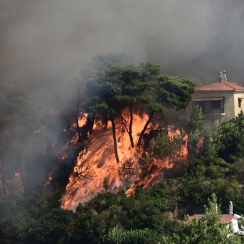 φωτια, δασος, βουνο