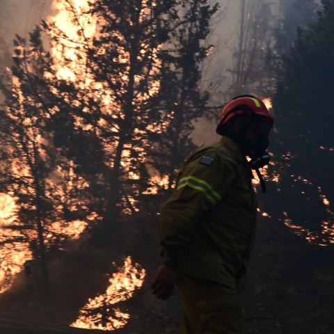 πυροσβεστες, φωτια, δασος