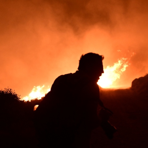 φωτια, δασος, βουνο