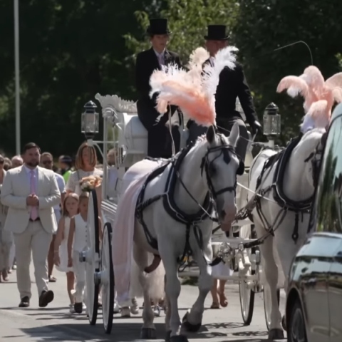 αλογα, κηδεια, νεκροφορα, πληθος