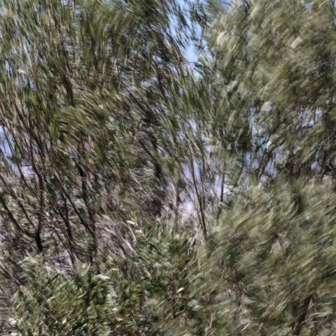 Ανησυχία για την εξέλιξη των πυρκαγιών λόγω των ισχυρών ανέμων