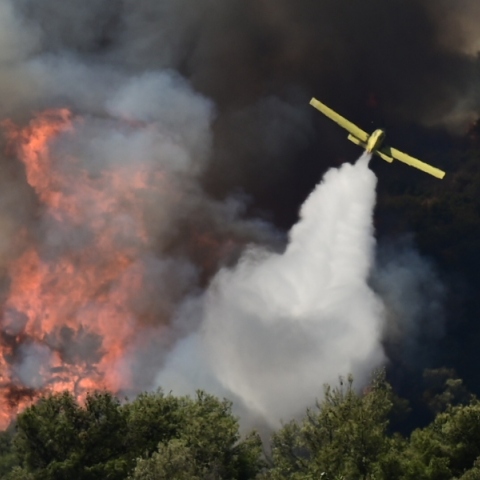 αεροπλανο της πυροσβεστικης ριχνει νερο σε δασος που φλέγεται