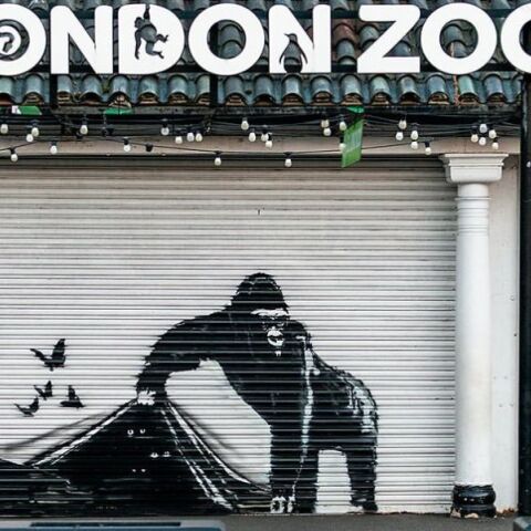 Banksy: Με έναν γορίλα που απελευθερώνει πουλιά, ο street artist ολοκληρώνει τη σειρά των ζώων που εμφανίστηκαν αιφνιδιαστικά σε τοίχους του Λονδίνου.