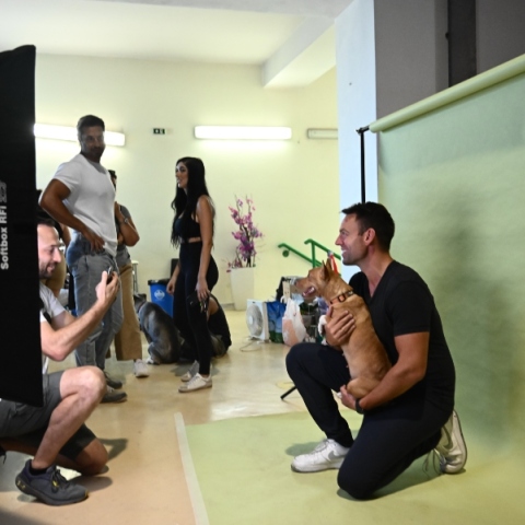 Ρωμανός: «Βίντεο εθελοντών επιβεβαιώνει την fake υιοθεσία πυρόπληκτου σκύλου από τον Κασσελάκη» 