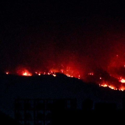 Φωτιά στον Παλαμπά Θεσπρωτίας: Ολονύχτια μάχη με τις φλόγες για να μην εξαπλωθεί